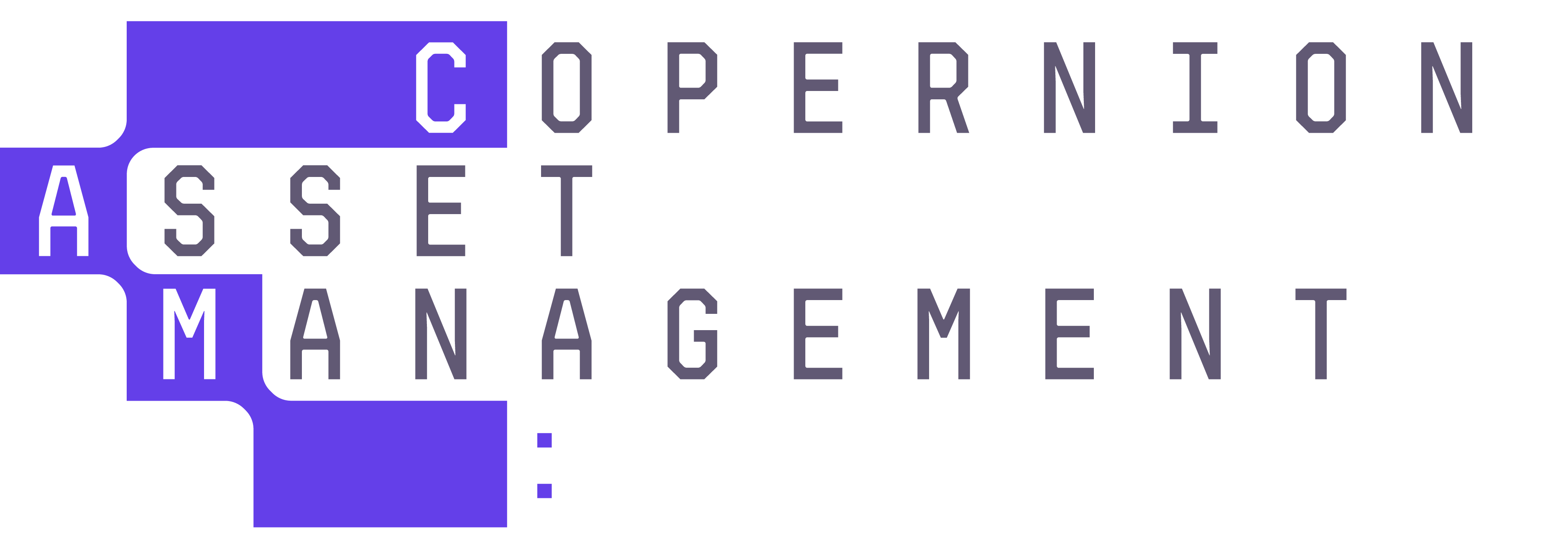 Copernion Asset Management